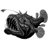 Deep sea fish