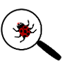 Ladybug under the magnifying glass