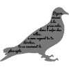 C'est arrivé près de chez vous - Poème Pigeon