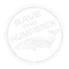 Whales - whales