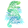 Chameleon animals