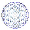Lebensblume