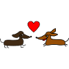 Dachshund love