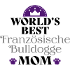 Französische Bulldogge