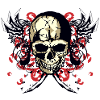 skull fantasy skull skull