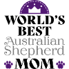 Australian Shepherd