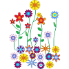 Colourful flowers