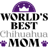 Chiahuahua