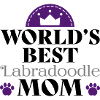 Labradoodle