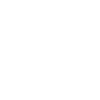 Fliesenleger Evolution