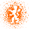 lion netherlands orange