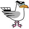 Angry Seagull