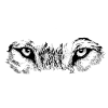 Eye of the Wolf