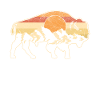 Retro buffalo