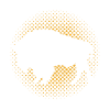 buffalo