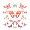 Butterfly animal