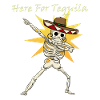 Here For Tequila