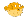 poissons puffer