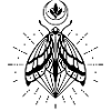 Moth moon crystal diamond firefly