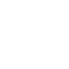 2020 palme
