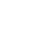 Lakeland terrier