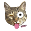 Langue de chat
