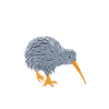 New Zealand kiwi