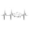 Heartbeat carp