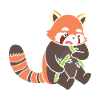 A red panda eats bamboo.
