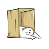 Sleeping cat in a box