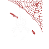 spider web