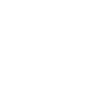 The Shark shark