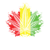 Cannabis smoking