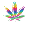 Cannabis stoner smoking pot