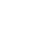 India elephant Asian elephant