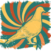 Dove