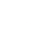 Airplane aviator