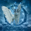 Awesome white wolf with wings