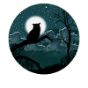 Night owl starry sky
