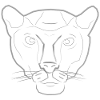 Panther, gray child