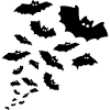 bats bat