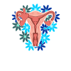 Uterus vagina vagina langfingerfeminisme