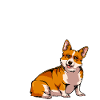 My Corgi Luck: Mine Just Happened