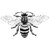 abeille