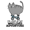 Cat bike funny gift saying