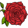 Rose blossom