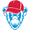 monkey wild animal cap
