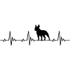 French bulldog heartbeat frequency pulse