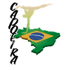 Capoeira Brazil Martial Arts Fitness