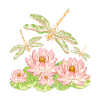 dragonflies